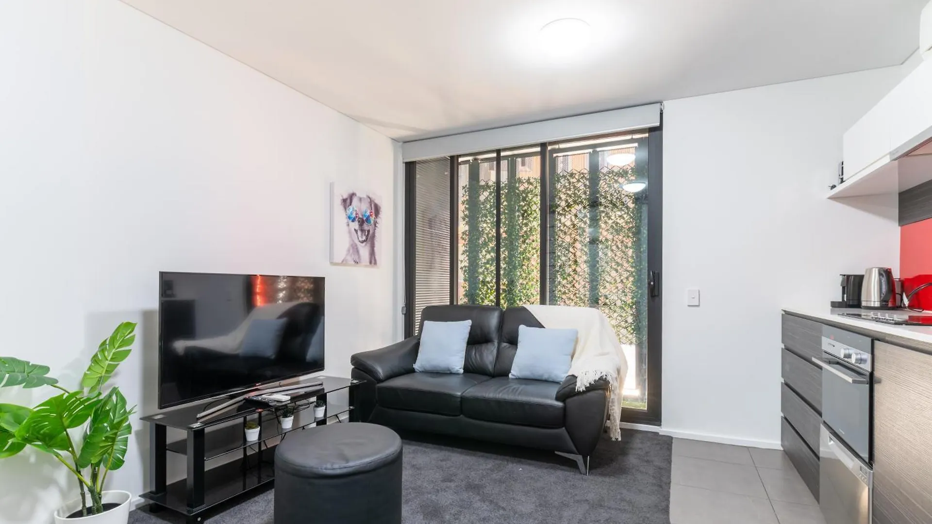 Zen Vibe, Entire Apt, With Study Room, Wifi, Central, Cafe Adelaide